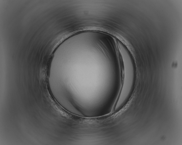 X0000090910993200708271001