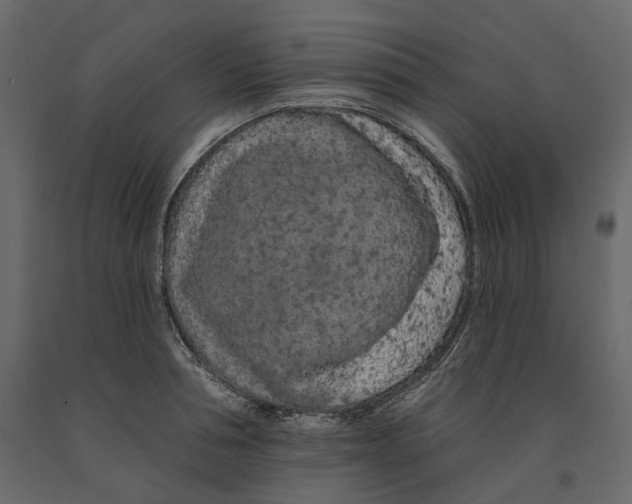 X0000090910994200708271001