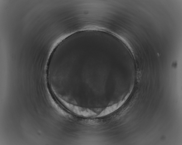 X0000090910995200708271001