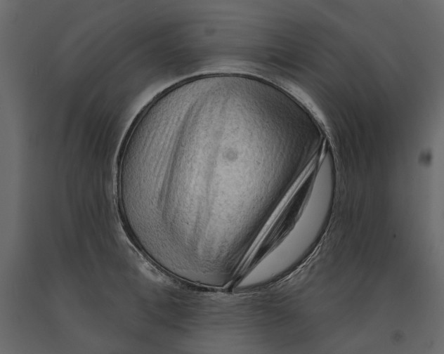 X0000090910996200708271001