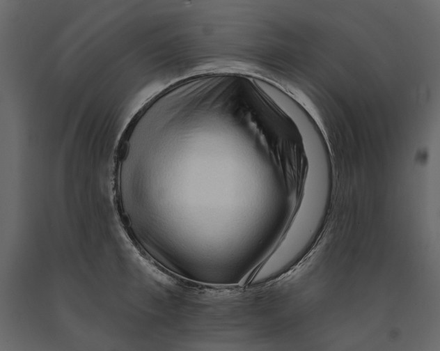 X0000090910997200708271001