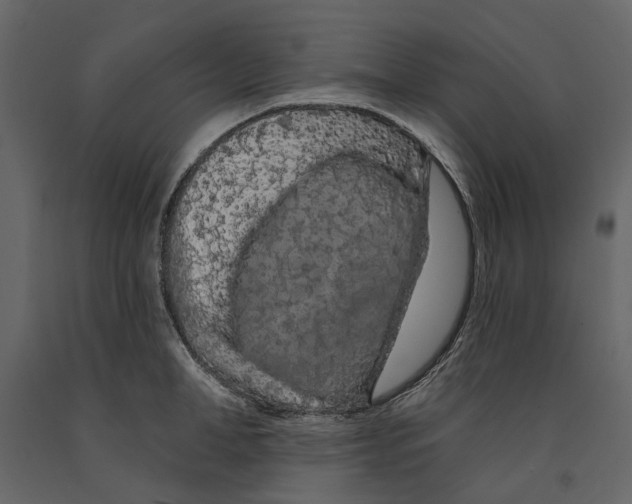 X0000090910998200708271001