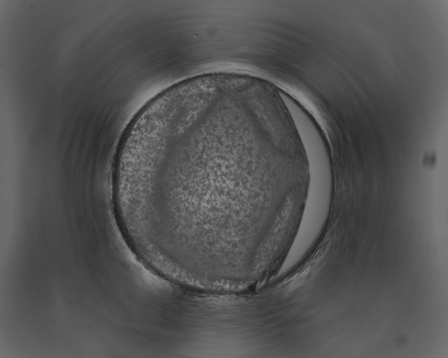 X0000090910999200708271001