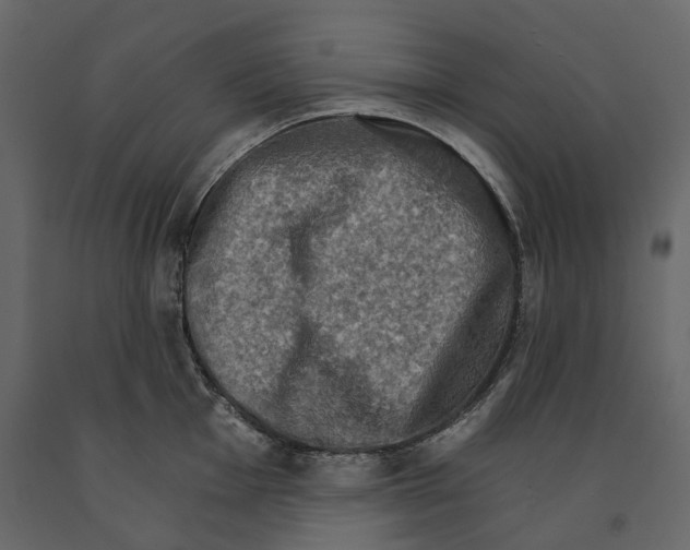 X0000090911001200708271001