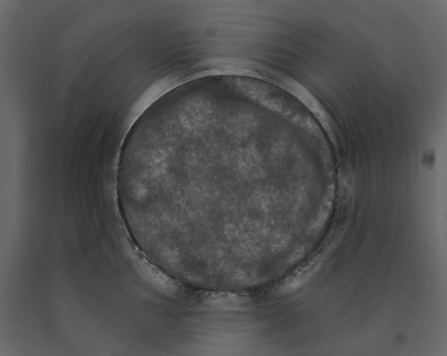 X0000090911002200708271001