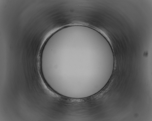 X0000090911003200708271001