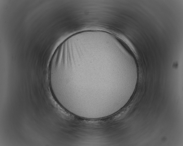 X0000090911004200708271001