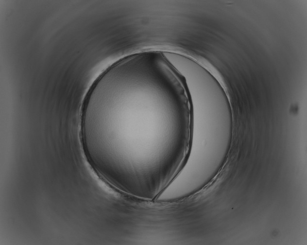 X0000090911005200708271001