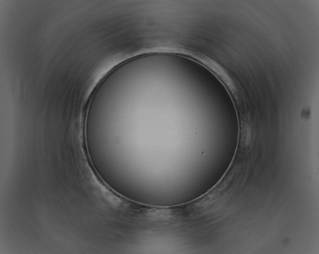 X0000090911006200708271001