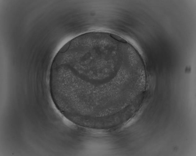 X0000090911007200708271001