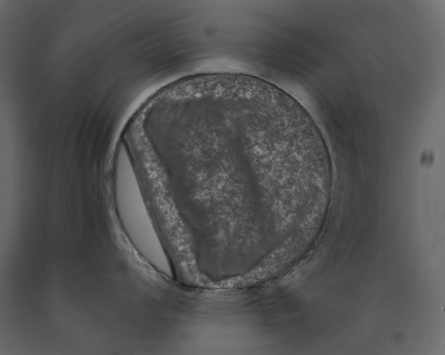 X0000090911008200708271001