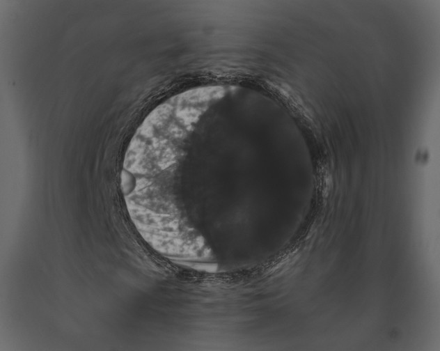 X0000090911009200708271000