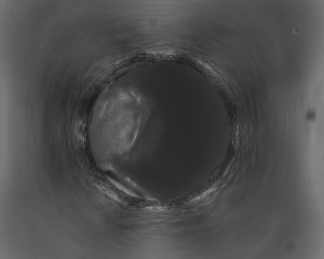 X0000090911010200708271000