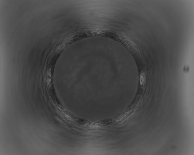 X0000090911011200708271000