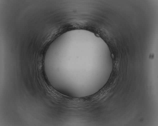 X0000090911012200708271000