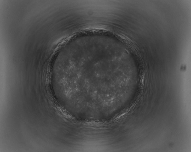 X0000090911014200708271000