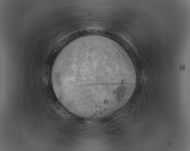 X0000090911015200708271000