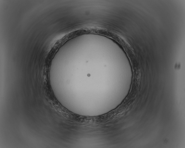 X0000090911016200708271000