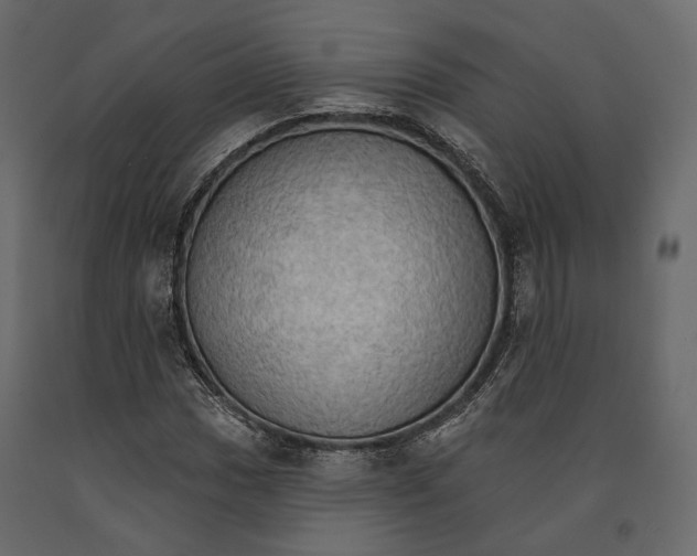 X0000090911017200708271000