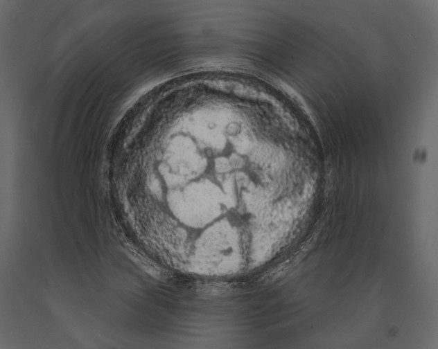 X0000090911019200708271000