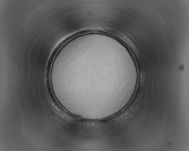 X0000090911020200708271000