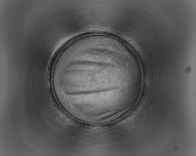 X0000090911022200708271000