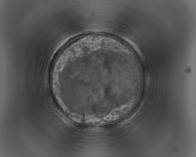 X0000090911023200708271000