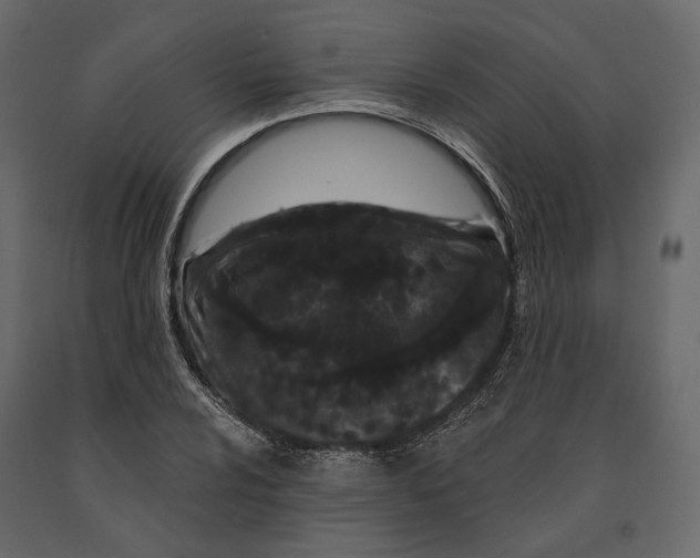 X0000090911024200708271000