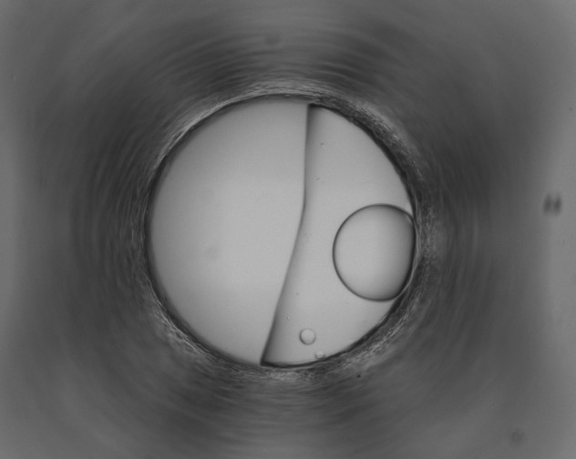 X0000090911025200708271000