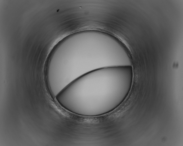 X0000090911026200708271000