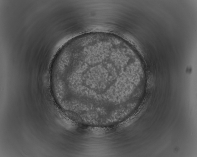 X0000090911027200708271000