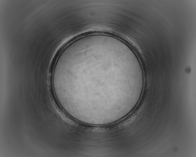 X0000090911029200708271000