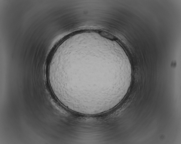 X0000090911030200708271000