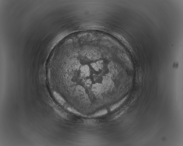 X0000090911031200708271000