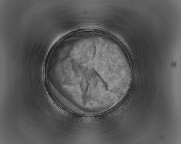 X0000090911032200708271001