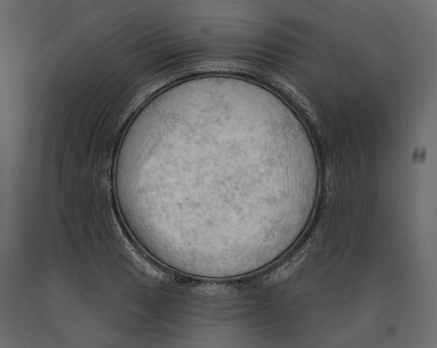 X0000090911033200708271001