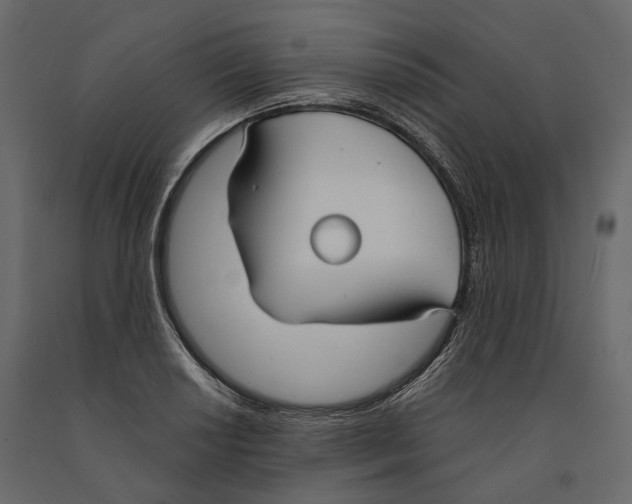 X0000090911034200708271001