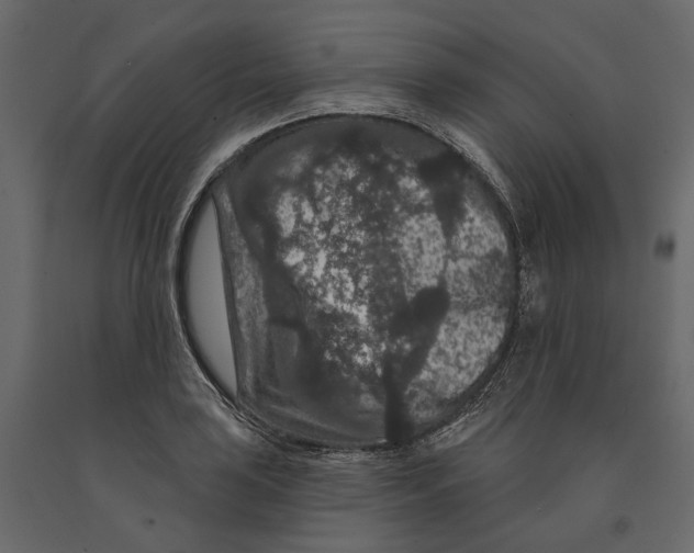 X0000090911035200708271001