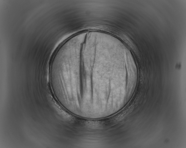 X0000090911036200708271001