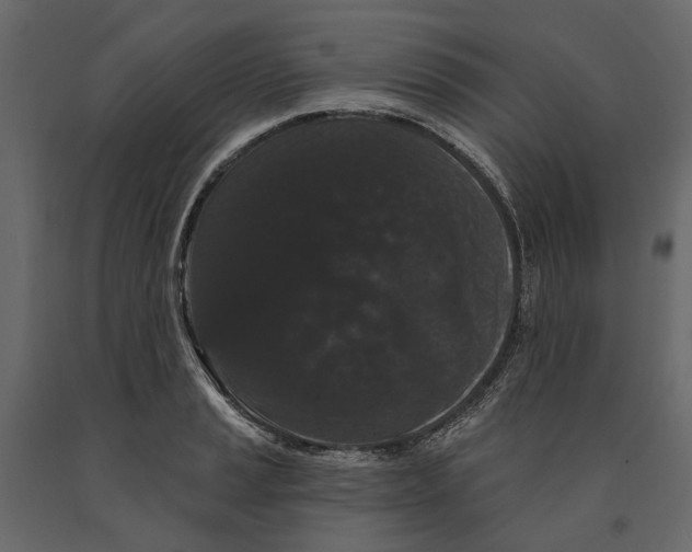 X0000090911037200708271001