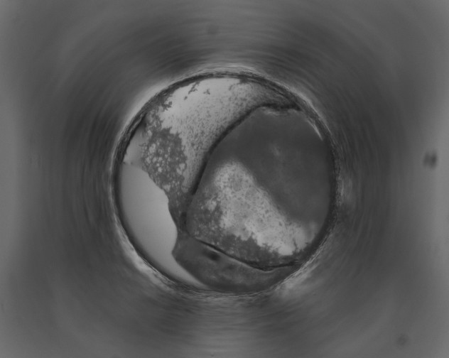 X0000090911038200708271001