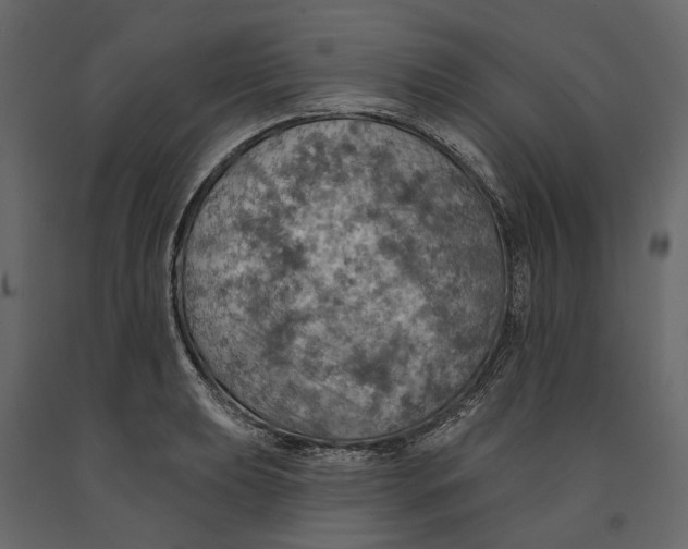 X0000090911039200708271001