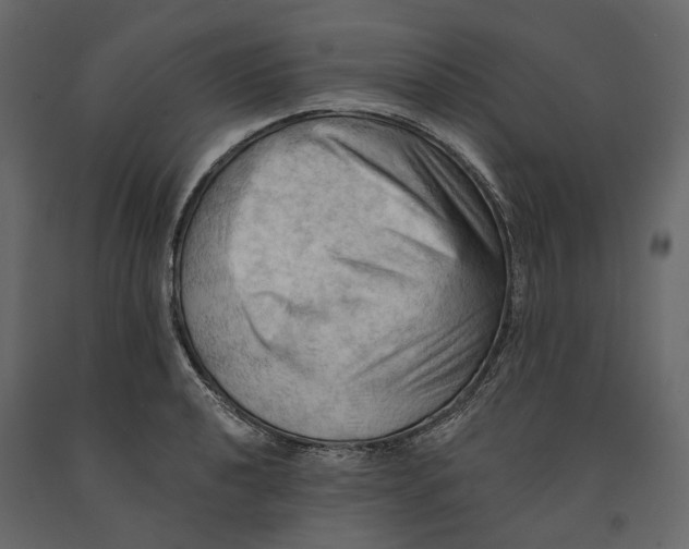 X0000090911040200708271001