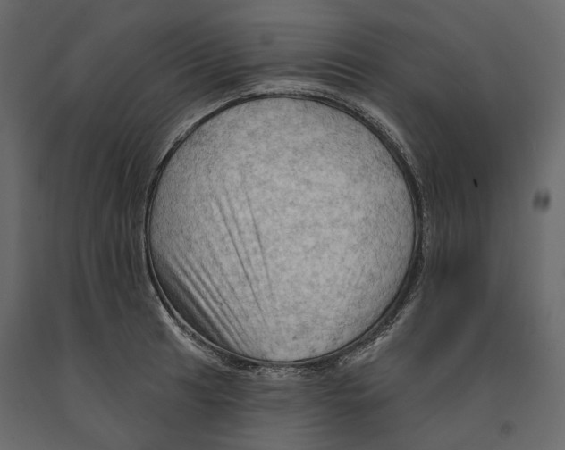 X0000090911041200708271001