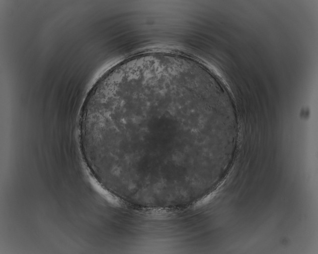 X0000090911042200708271001