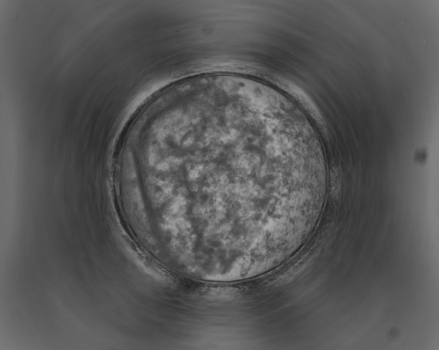 X0000090911043200708271001