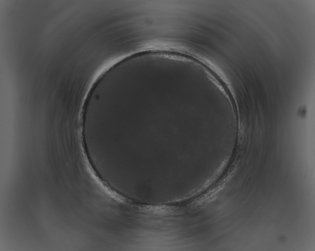 X0000090911045200708271001