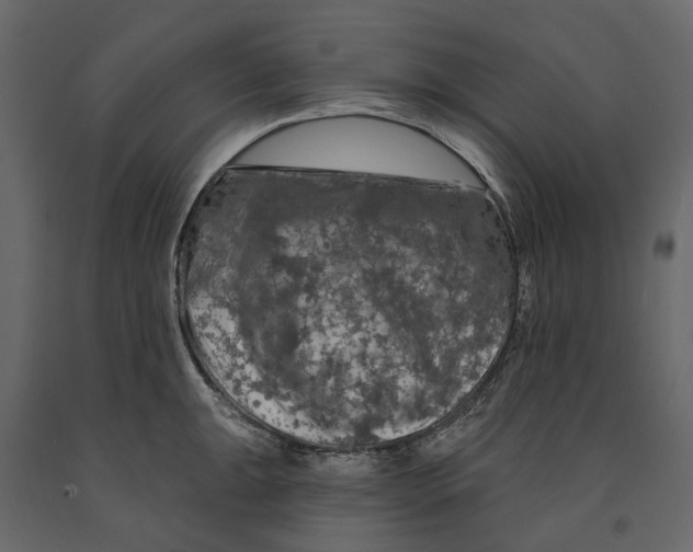 X0000090911047200708271001