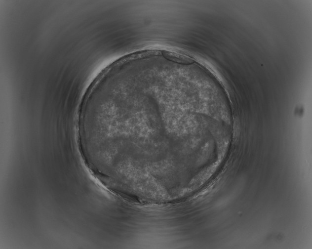 X0000090911048200708271001