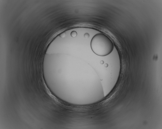 X0000090911049200708271001